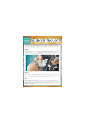 Business Finance (Speedy Study Guides)