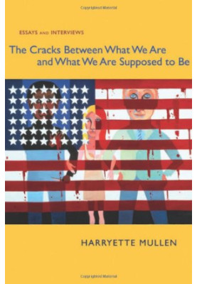 The cracks between what we are and what we are supposed to be : essays and interviews