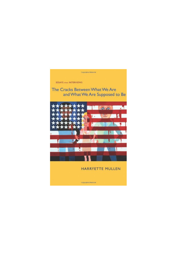 The cracks between what we are and what we are supposed to be : essays and interviews