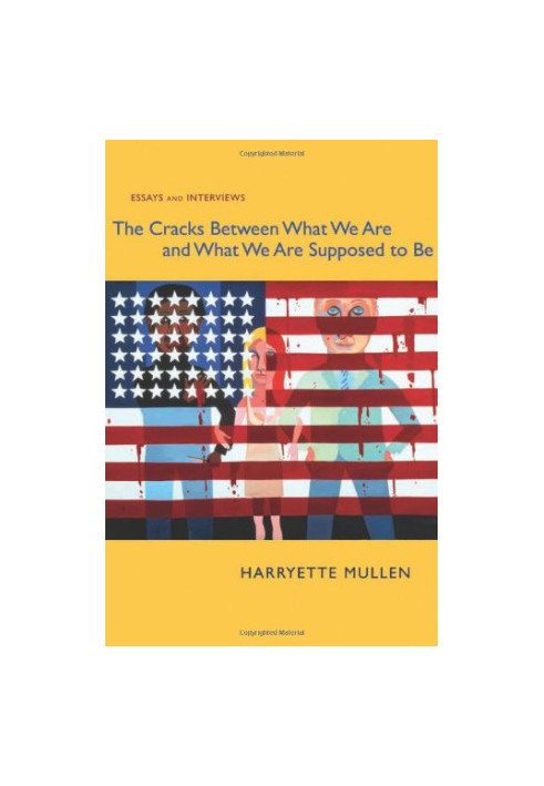 The cracks between what we are and what we are supposed to be : essays and interviews