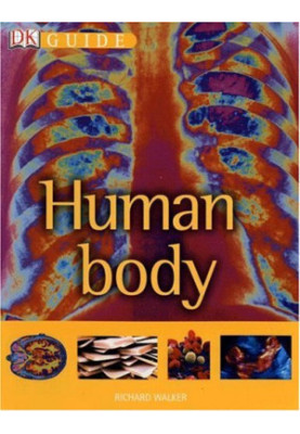 Human Body (DK Guide)