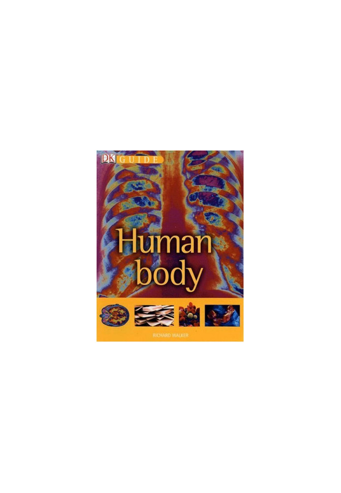 Human Body (DK Guide)