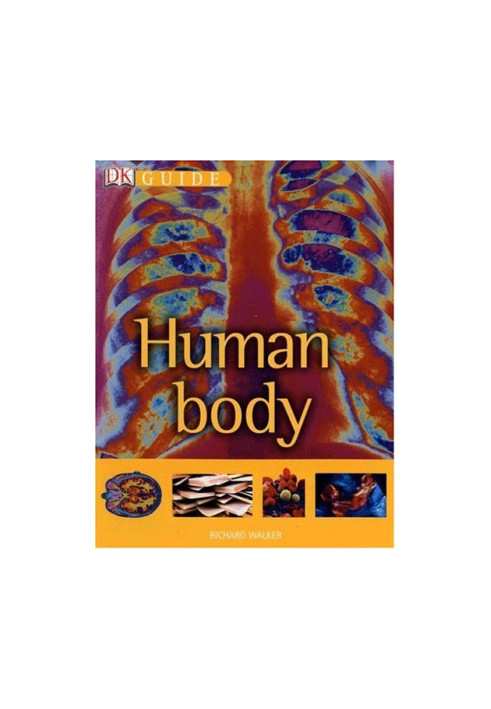 Human Body (DK Guide)