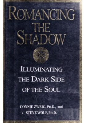 Romancing the shadow : illuminating the dark side of the soul
