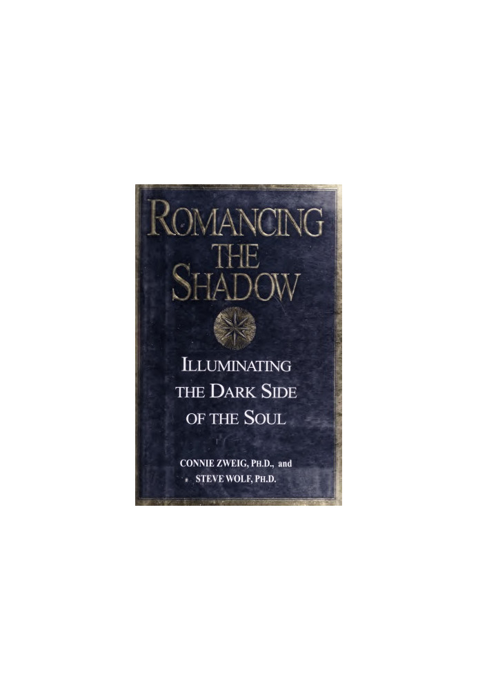 Romancing the shadow : illuminating the dark side of the soul