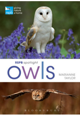 RSPB Spotlight ― Owls