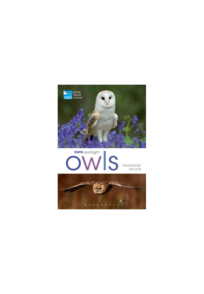 RSPB Spotlight ― Owls