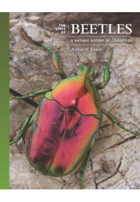 The Lives of Beetles - A Natural History of Coleoptera