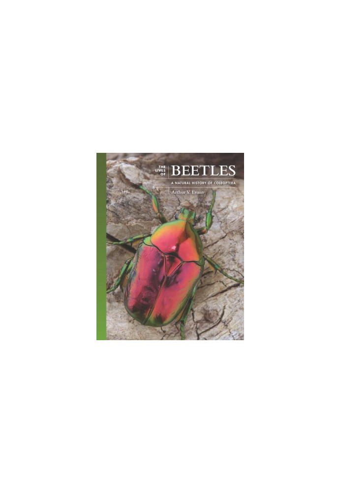 The Lives of Beetles - A Natural History of Coleoptera