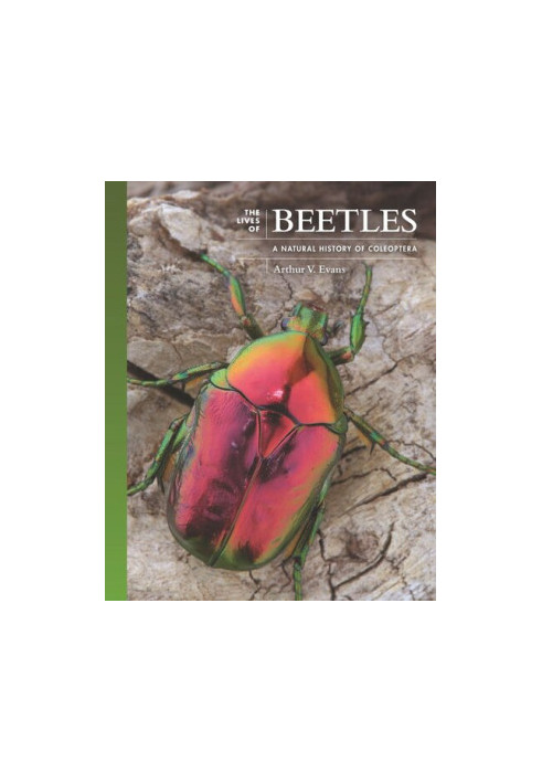 The Lives of Beetles - A Natural History of Coleoptera