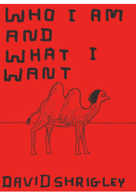 Who I Am and What I Want