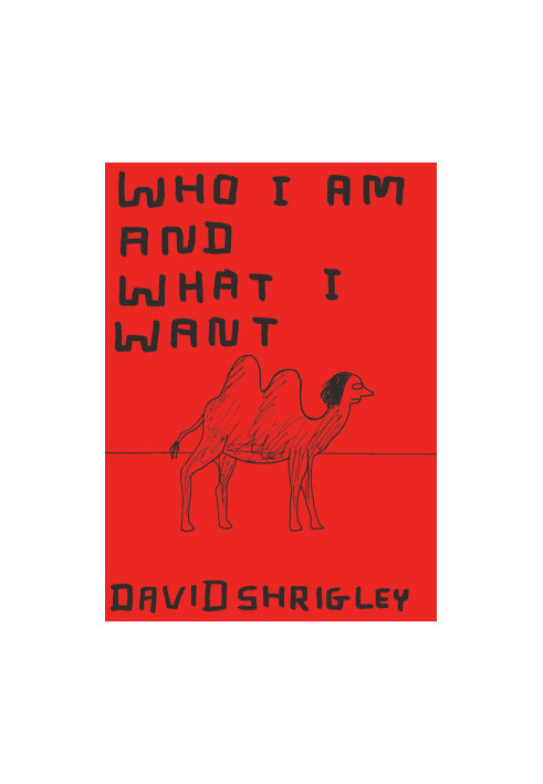 Who I Am and What I Want