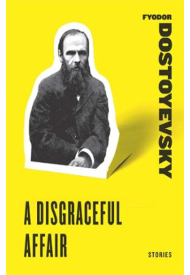 A Disgraceful Affair: Stories
