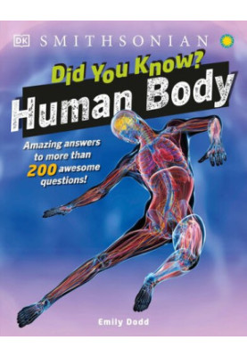 Did You Know? Human Body