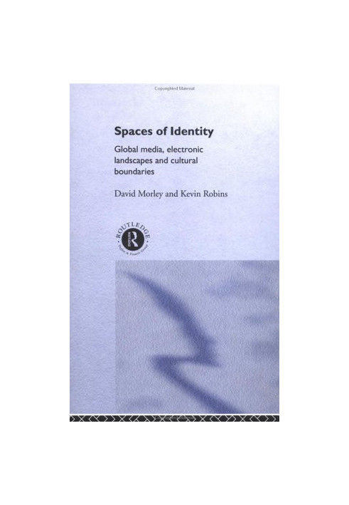 Spaces of Identity: Global Media, Electronic Landscapes and Cultural Boundaries (International Library of Sociology)