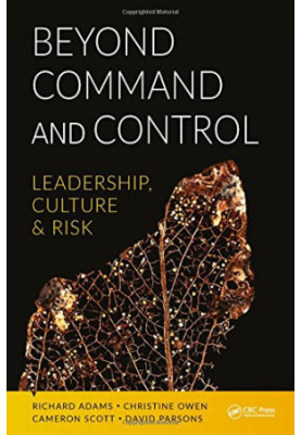 Beyond command and control : leadership, culture and risk