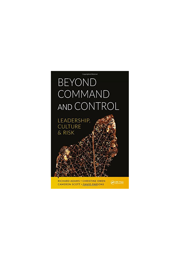Beyond command and control : leadership, culture and risk