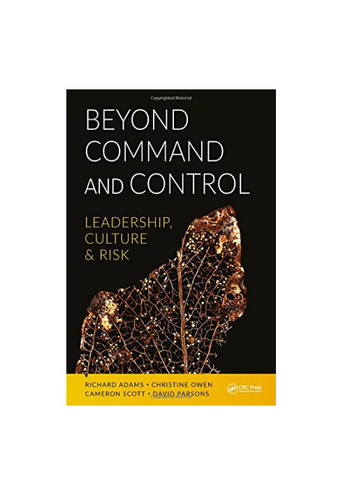 Beyond command and control : leadership, culture and risk