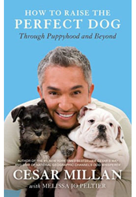 How to Raise the Perfect Dog: Through Puppyhood and Beyond