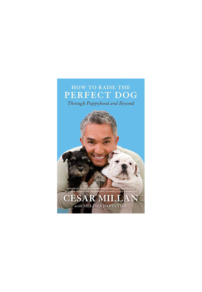 How to Raise the Perfect Dog: Through Puppyhood and Beyond