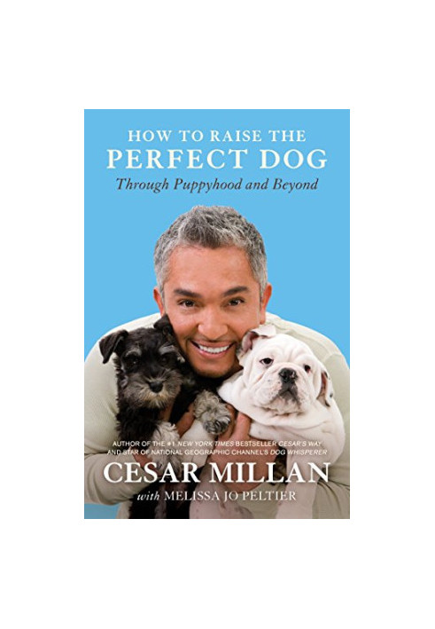 How to Raise the Perfect Dog: Through Puppyhood and Beyond