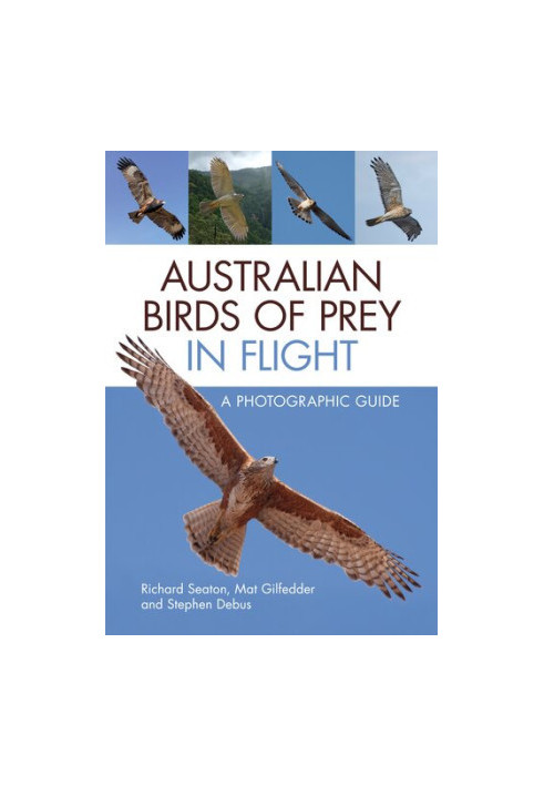 Australian Birds of Prey in Flight: A Photographic Guide