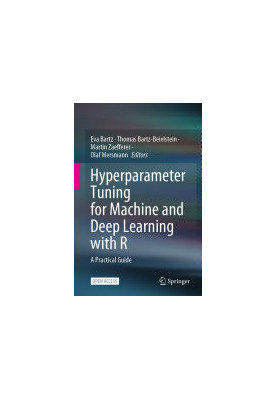 Hyperparameter Tuning for Machine and Deep Learning with R: A Practical Guide