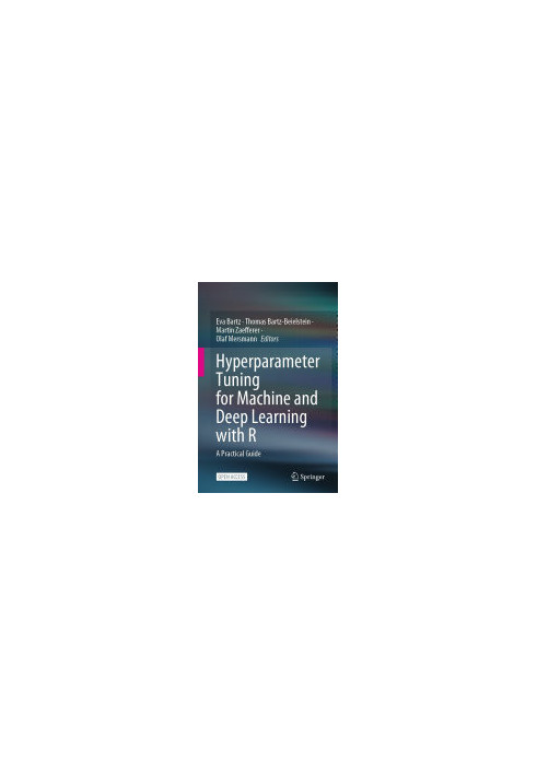 Hyperparameter Tuning for Machine and Deep Learning with R: A Practical Guide