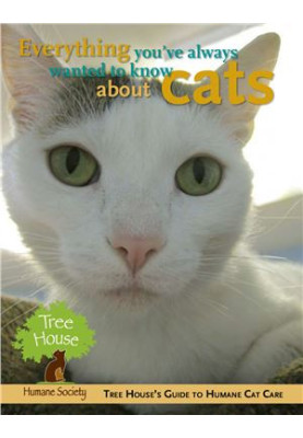 Everything You've Always Wanted to Know About Cats