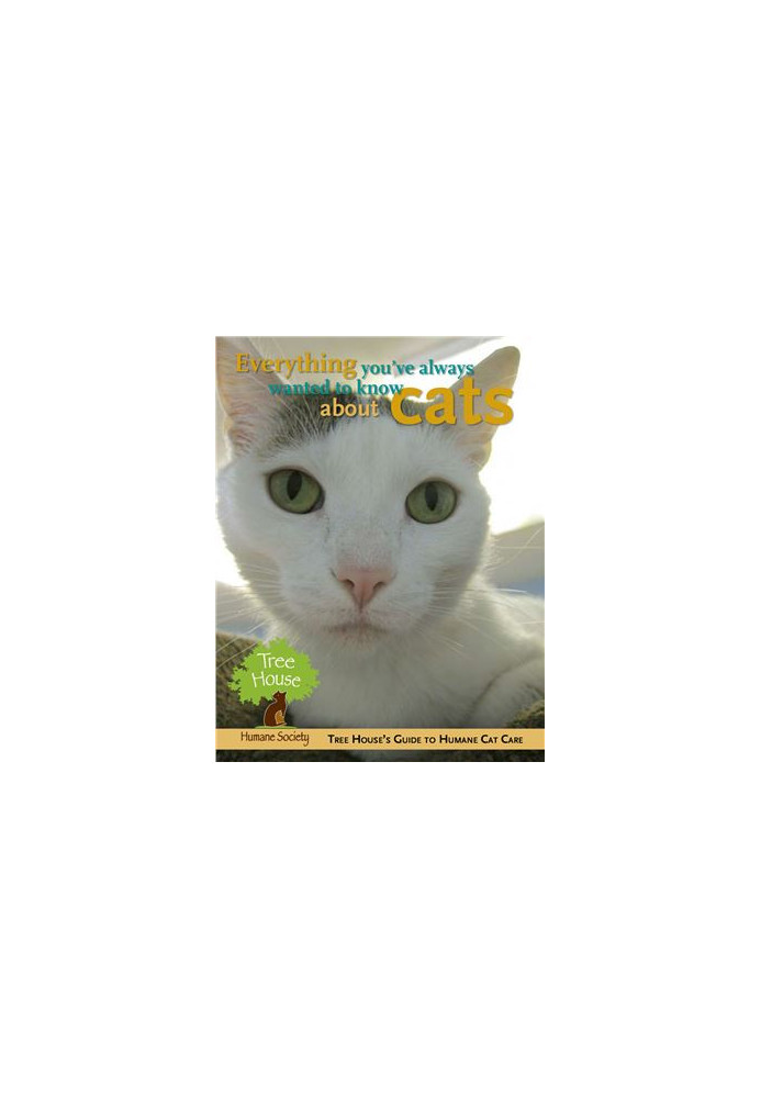 Everything You've Always Wanted to Know About Cats