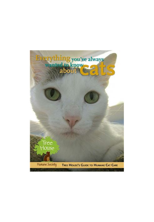 Everything You've Always Wanted to Know About Cats