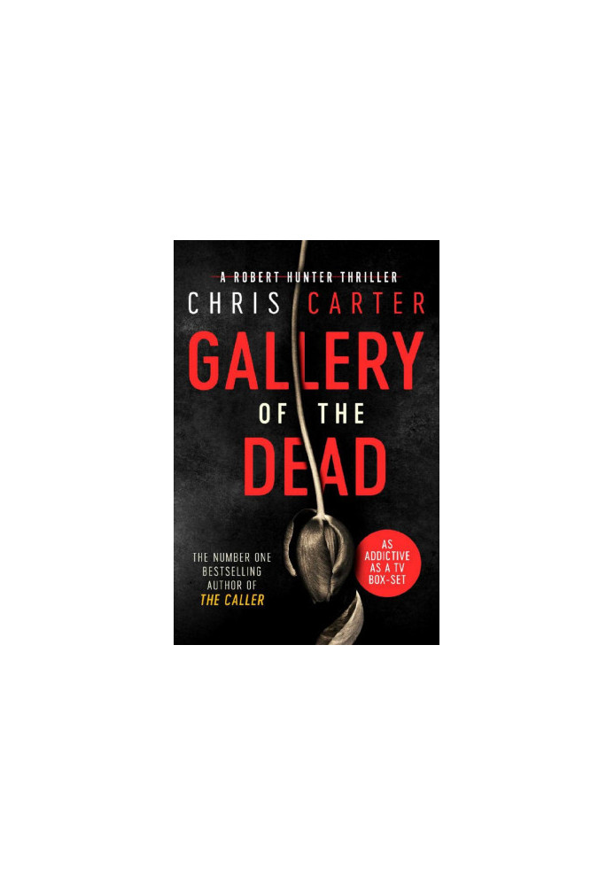 Gallery of the Dead - Robert Hunter Series 09 (2018)