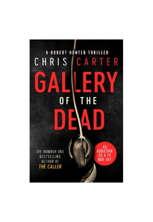 Gallery of the Dead - Robert Hunter Series 09 (2018)