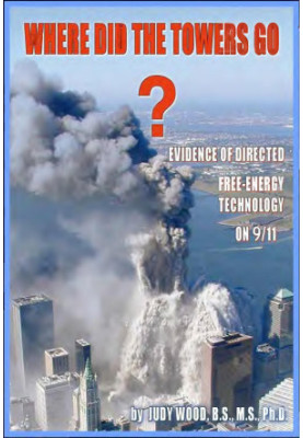 Where Did The Towers Go?