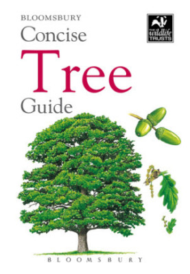 Bloomsbury Concise Tree Guide