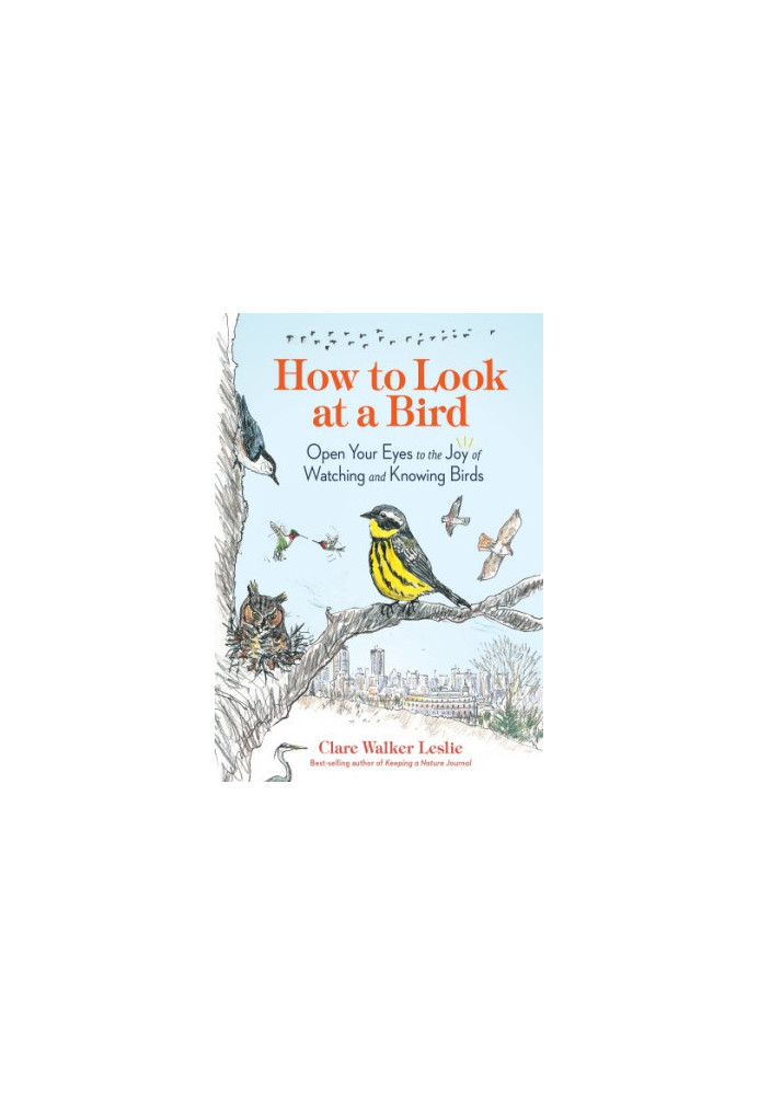 How to Look at a Bird