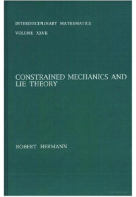 Constrained mechanics and Lie theory