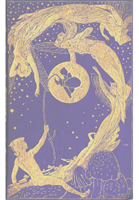The violet fairy book
