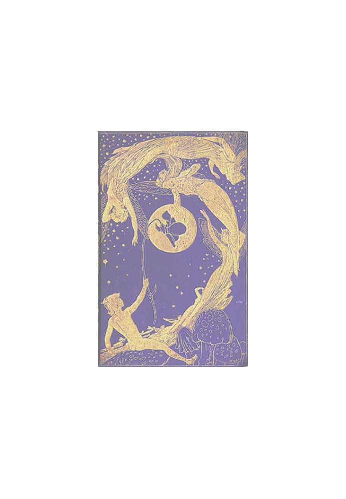 The violet fairy book