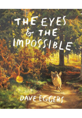 The Eyes and the Impossible