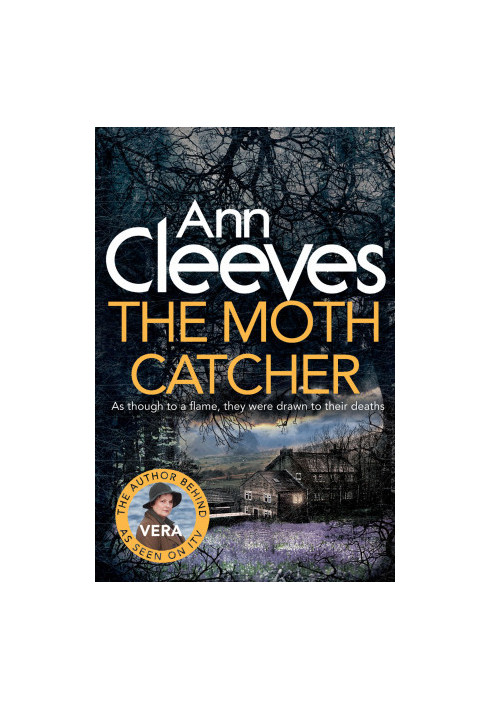 The Moth Catcher