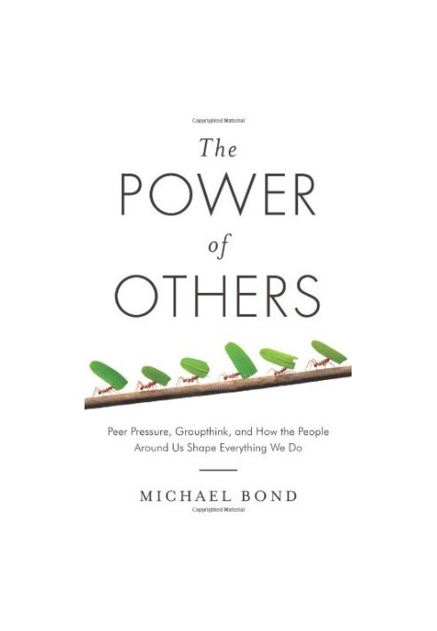 The Power of Others: Peer Pressure, Groupthink, and How the People Around Us Shape Everything We Do