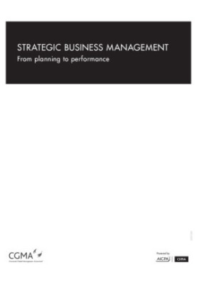 STRATEGIC BUSINESS MANAGEMENT : from planning to performance