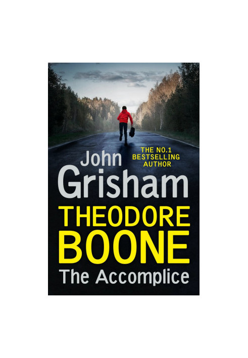 The Accomplice - Theodore Boone 07