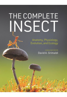 The Complete Insect Anatomy, Physiology, Evolution, and Ecology