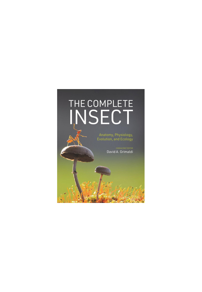 The Complete Insect Anatomy, Physiology, Evolution, and Ecology