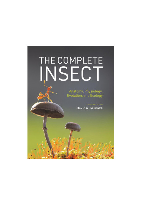 The Complete Insect Anatomy, Physiology, Evolution, and Ecology