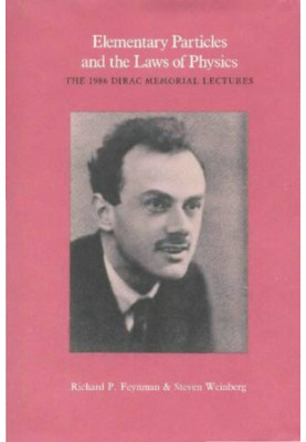 Elementary Particles and the Laws of Physics