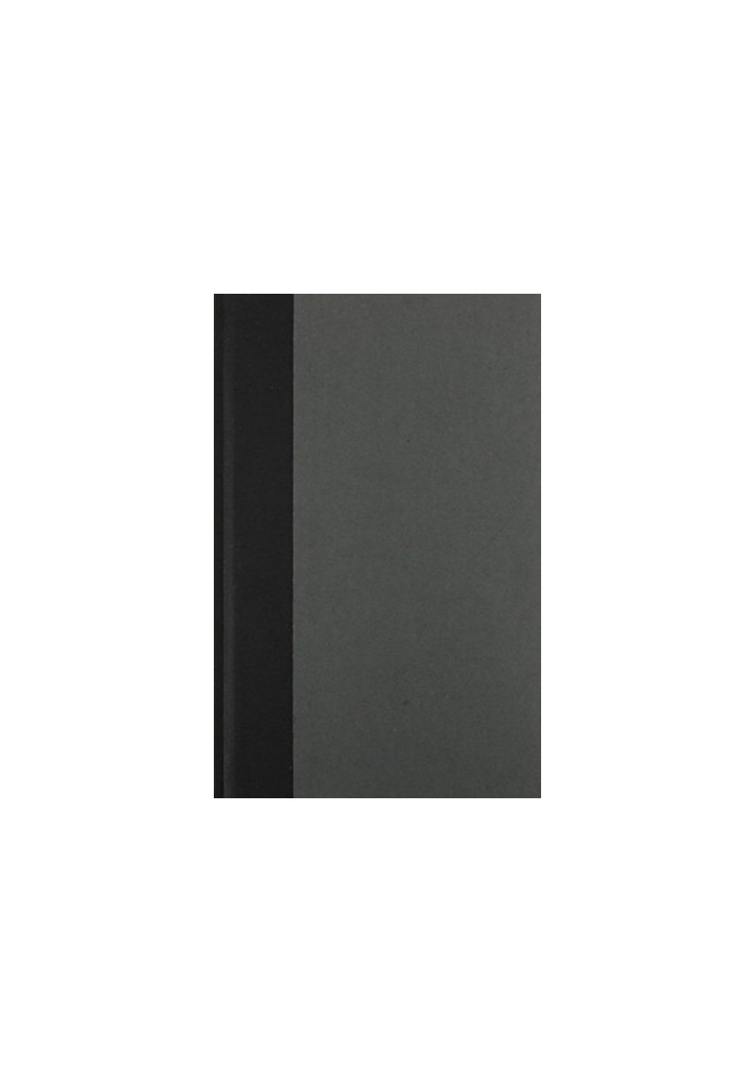 Vise and shadow : essays on the lyric imagination, poetry, art, and culture