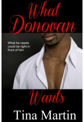 [The Accidental Series 04] • What Donovan Wants